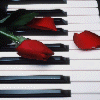 Piano Keys & Rose